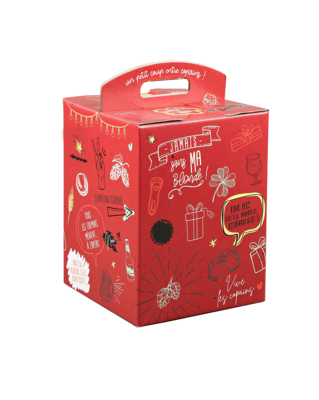 Valisette Box Munich carton 9 bières 33cl